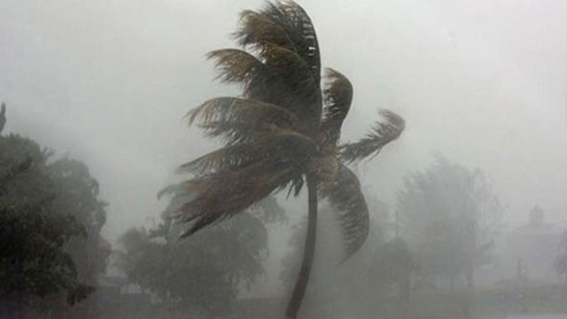 ৭ জেলায় ৬০ কিমি বেগে ঝড়ের পূর্বাভাস