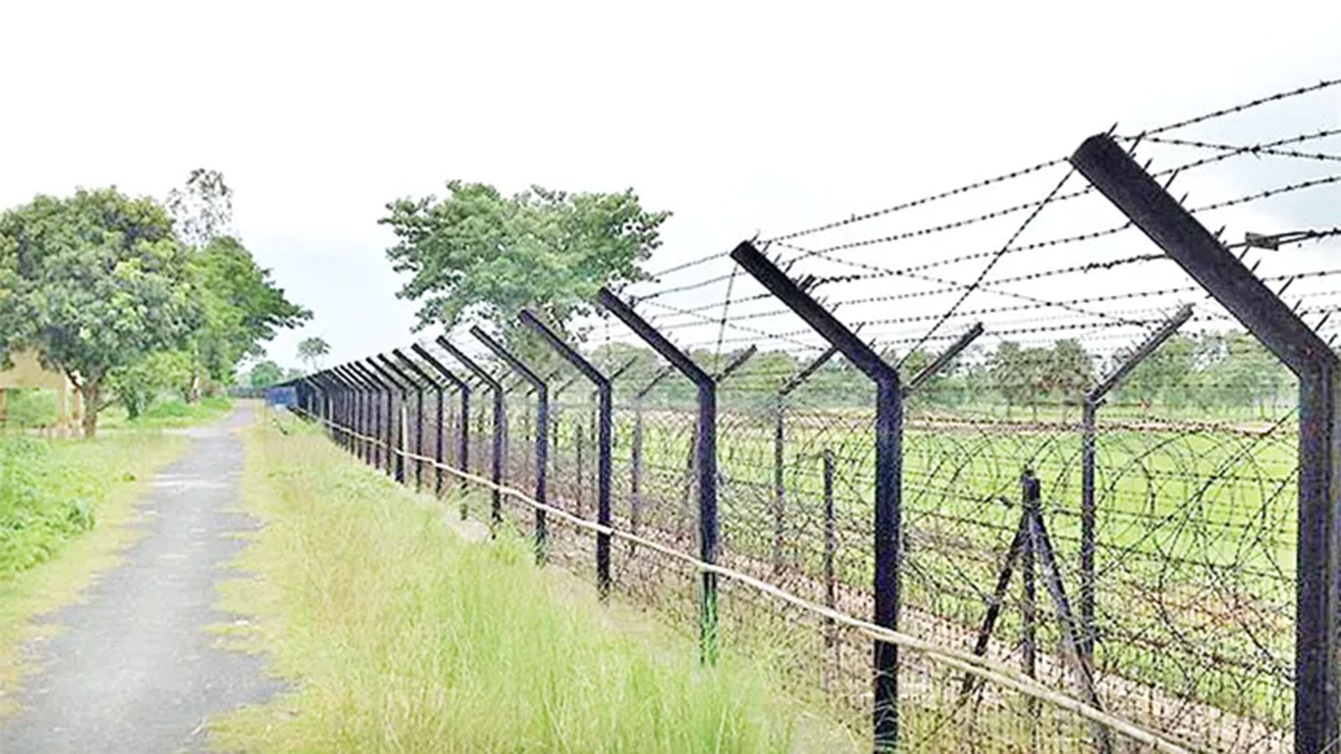 ভারত থেকে অবৈধভাবে প্রবেশের দায়ে আটক ২